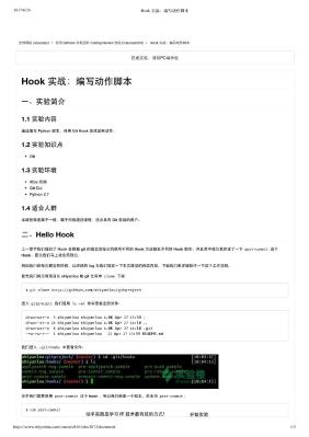 Hook 实战：编写动作脚本