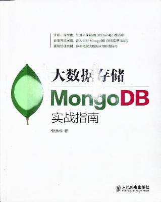 大数据存储MongoDB实战指南