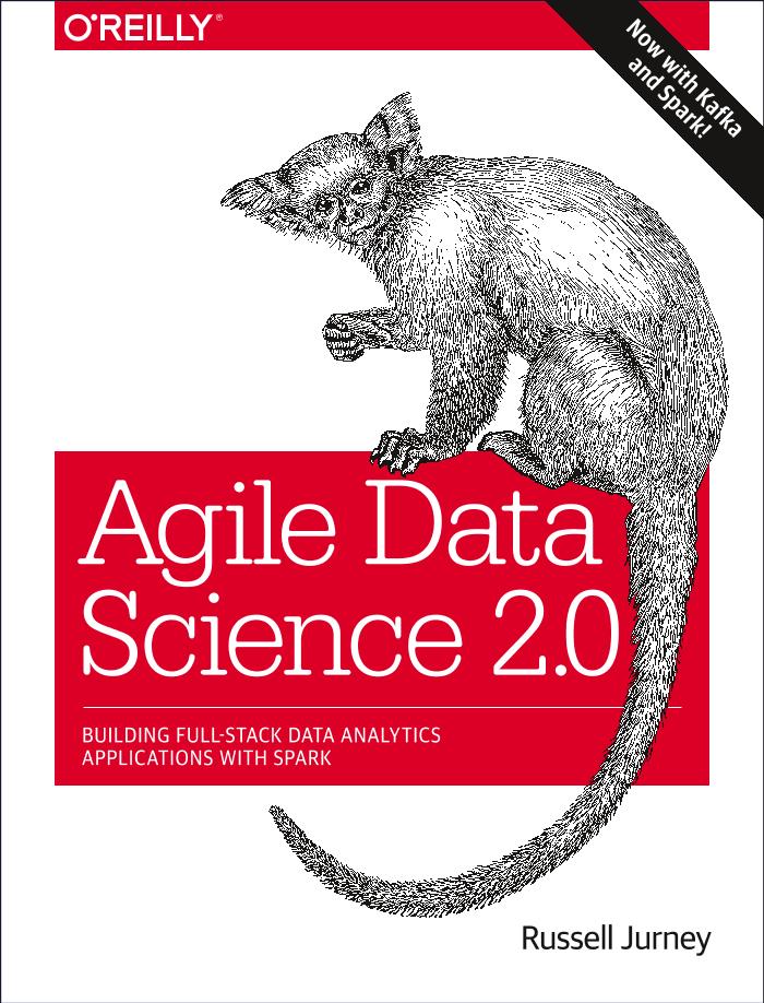 Agile Data Science 2.0-电子书-第1页