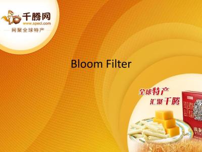 BloomFilter