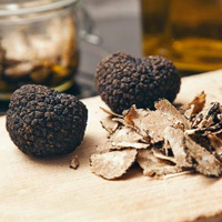 Truffle 框架中文文档