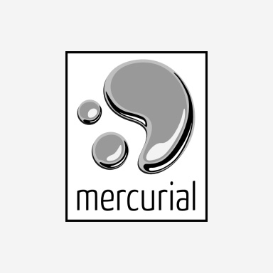 Mercurial 中文文档