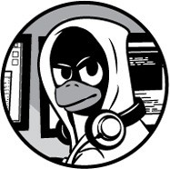 Linux Basics for Hackers 中文版