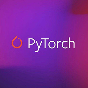 PyTorch 1.0 中文文档 & 教程