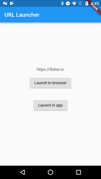screenshot containing two buttons for opening flutter.io