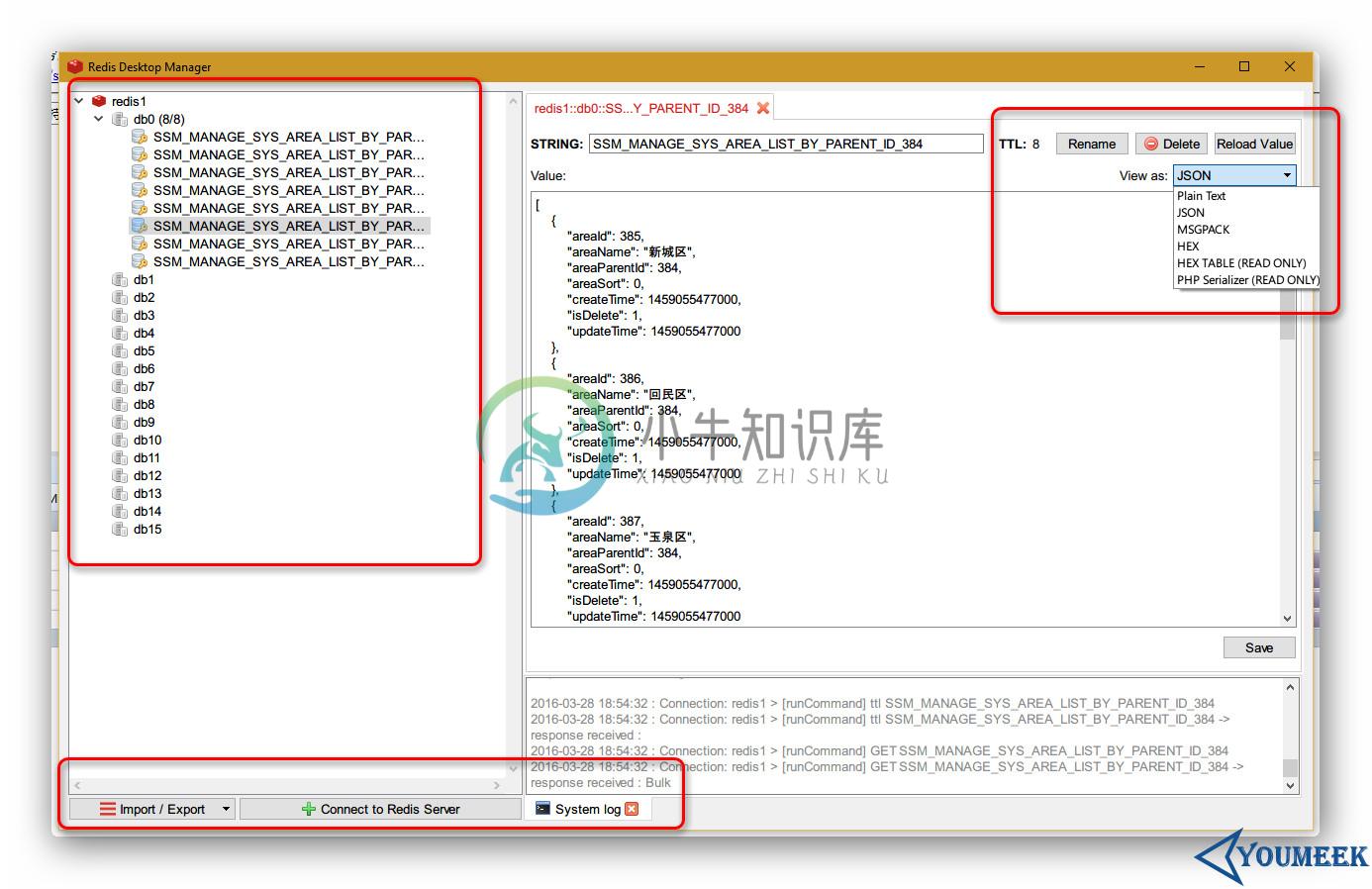 Redis Desktop Manager