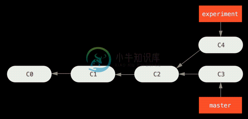 分叉的提交历史。