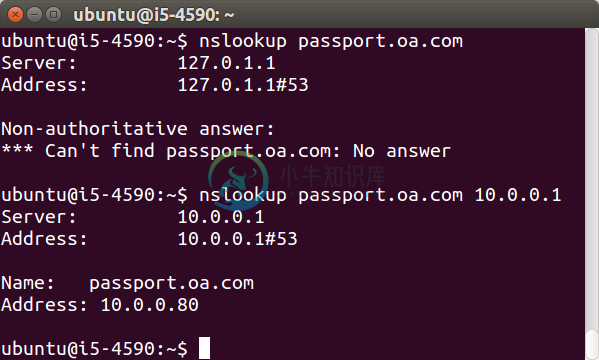 ubuntu nslookup custom dns