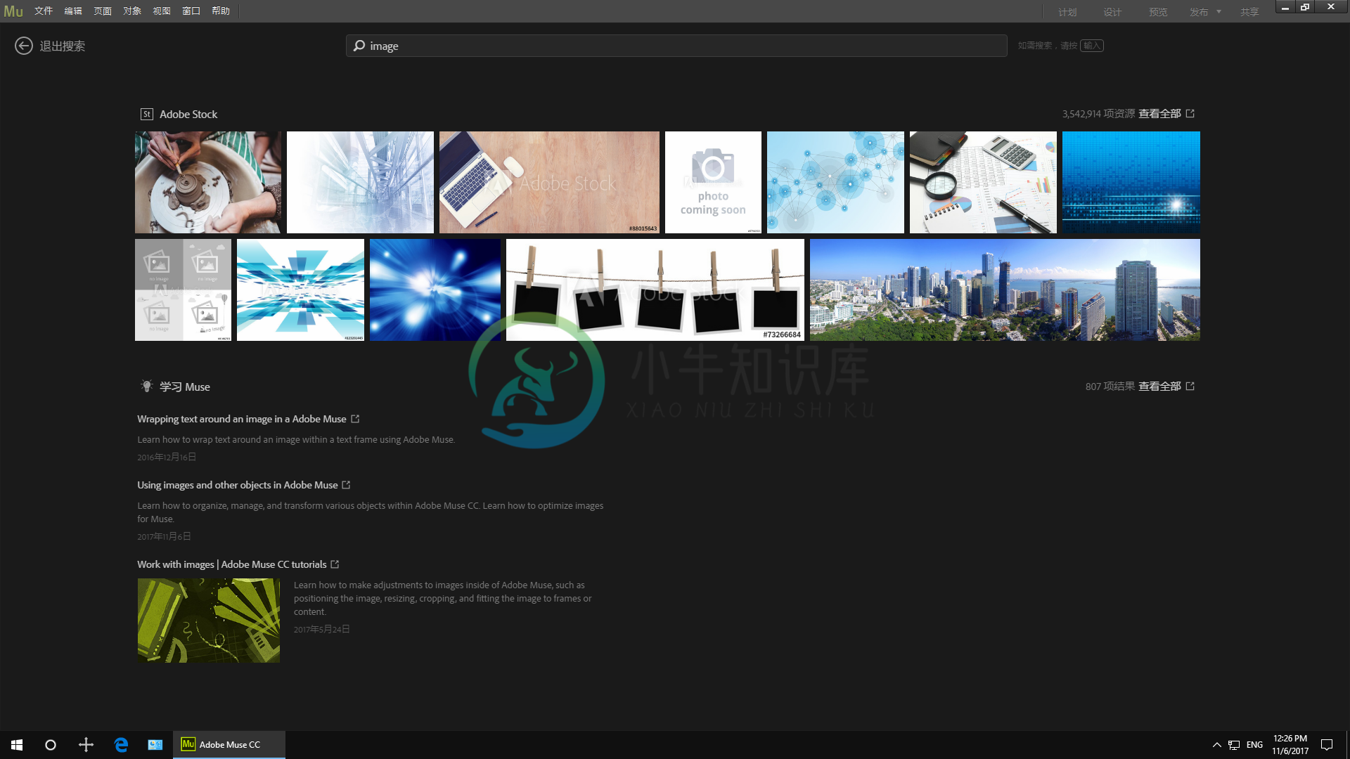 Adobe Muse“开始”屏幕中的“图像”搜索结果