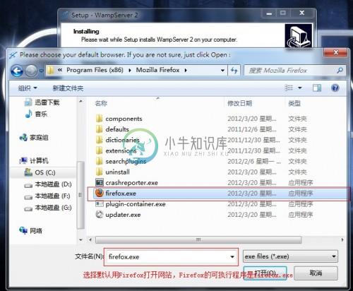 选择firefox.exe