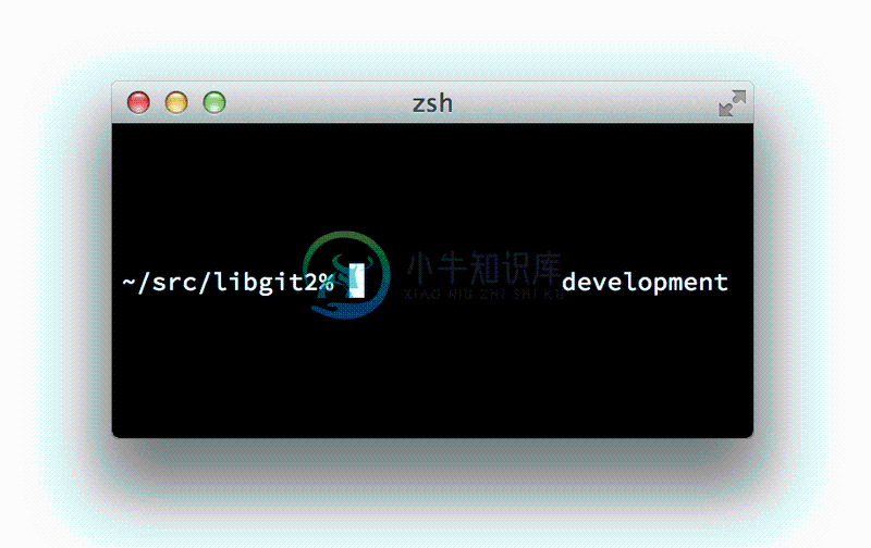 自定义 `zsh` 提示符.