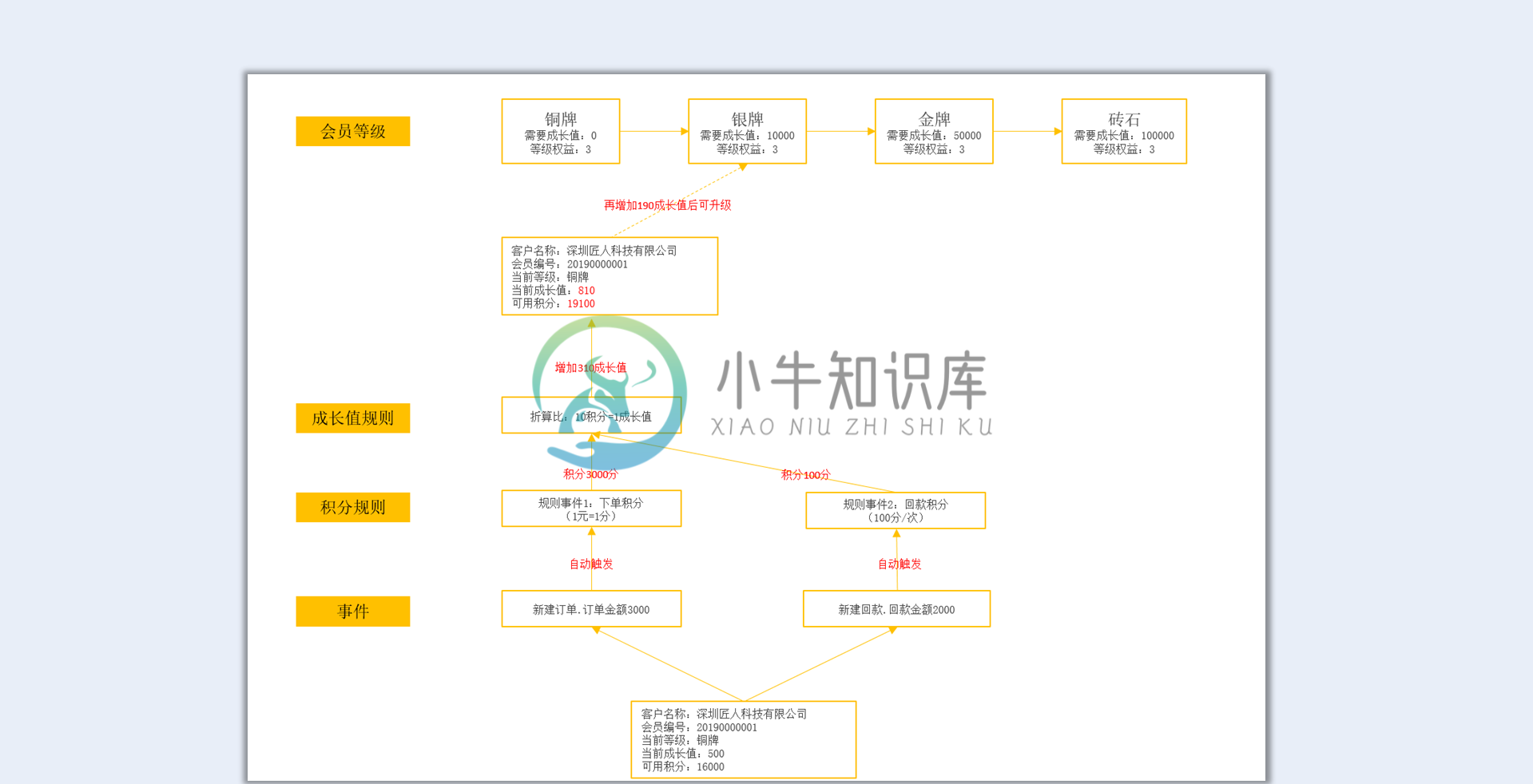 会员培育实例