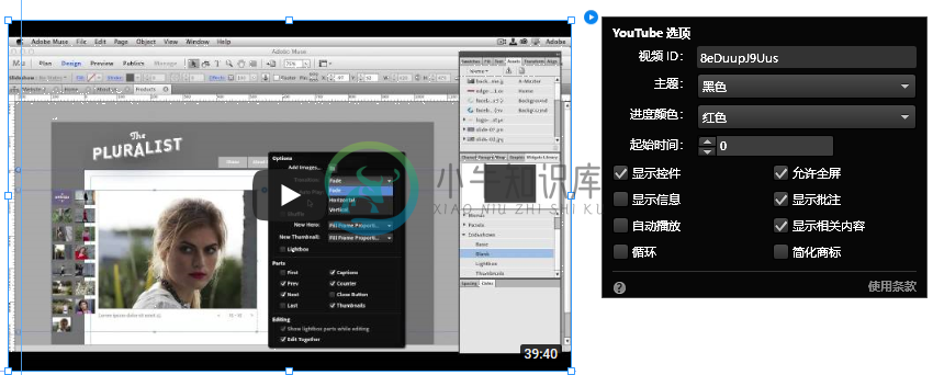 配置 Youtube 构件