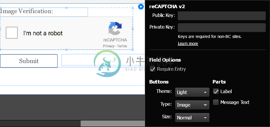 reCAPTCHA 字段