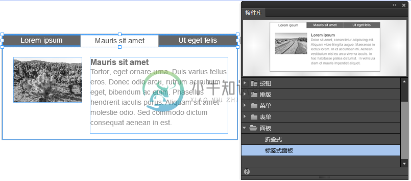 当您将选项卡式面板拖到页面上时，它会显示默认格式。