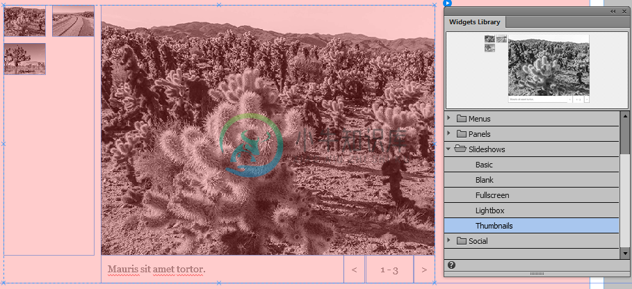 Adobe Muse 中的缩略图幻灯片, 构件库