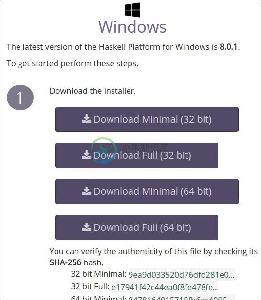 Windows Installer