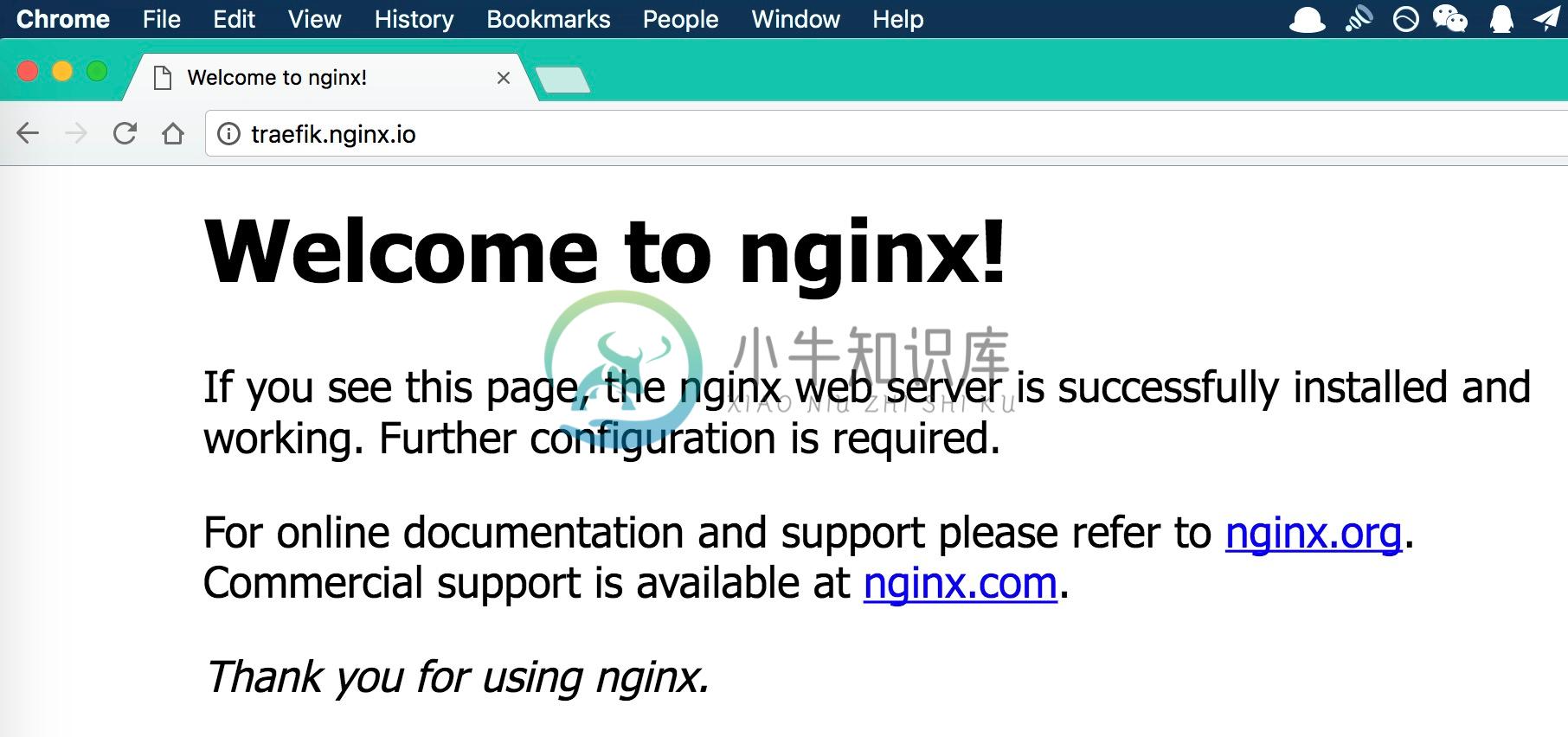 traefik-nginx