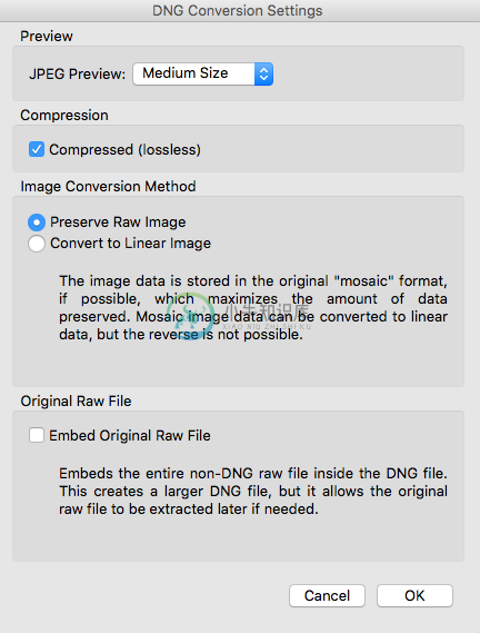 Adobe Bridge 中的“DNG 转换设置”对话框