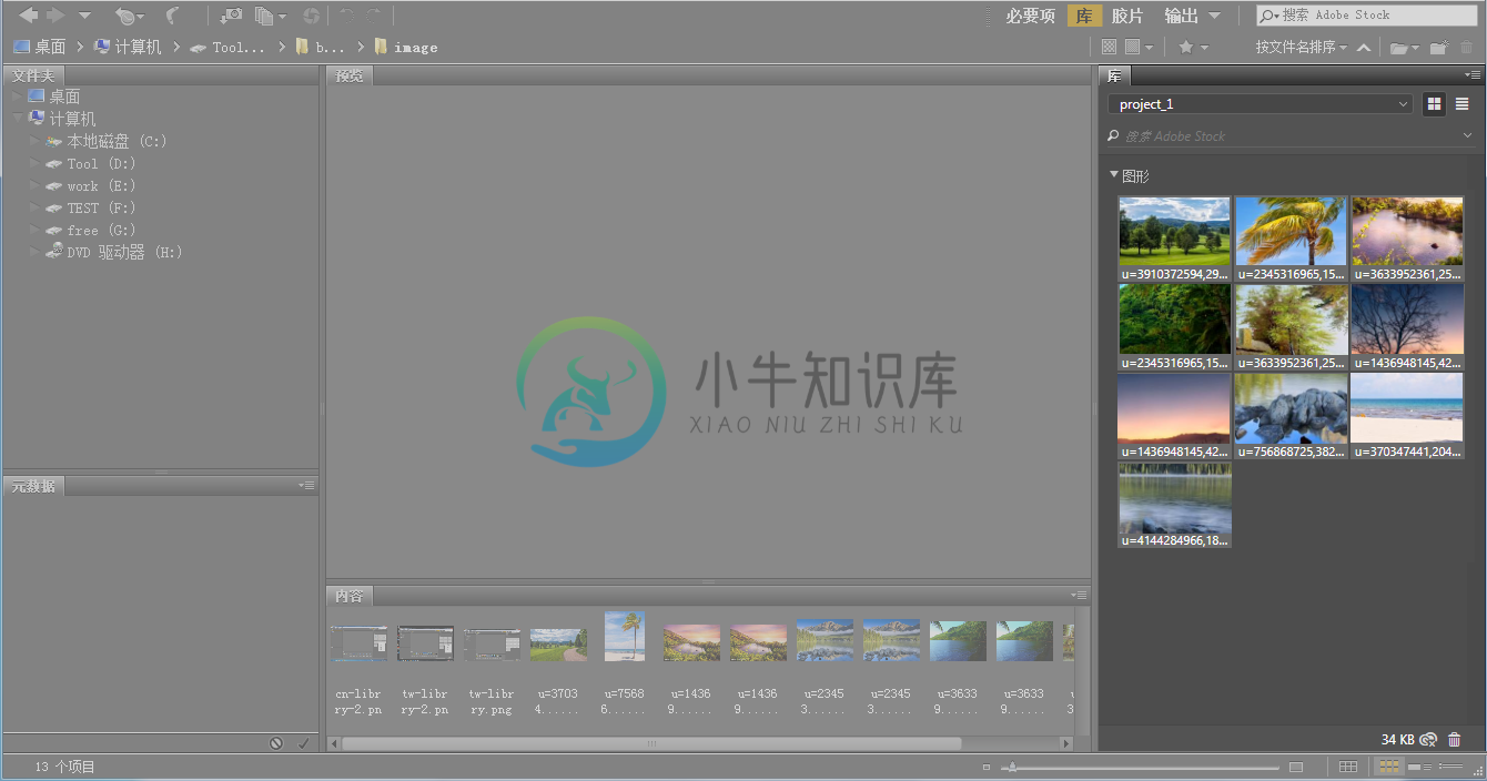 在 Bridge 中访问 Creative Cloud Libraries