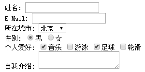 没有应用样式的表单