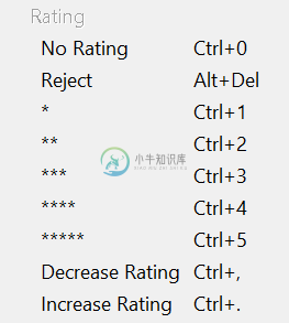 使用 Bridge 菜单栏中的“标签”选项对文件进行评级