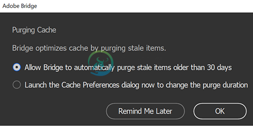 purgingCache