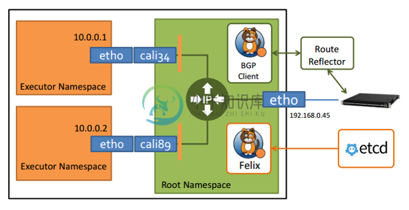 Calico - 图1