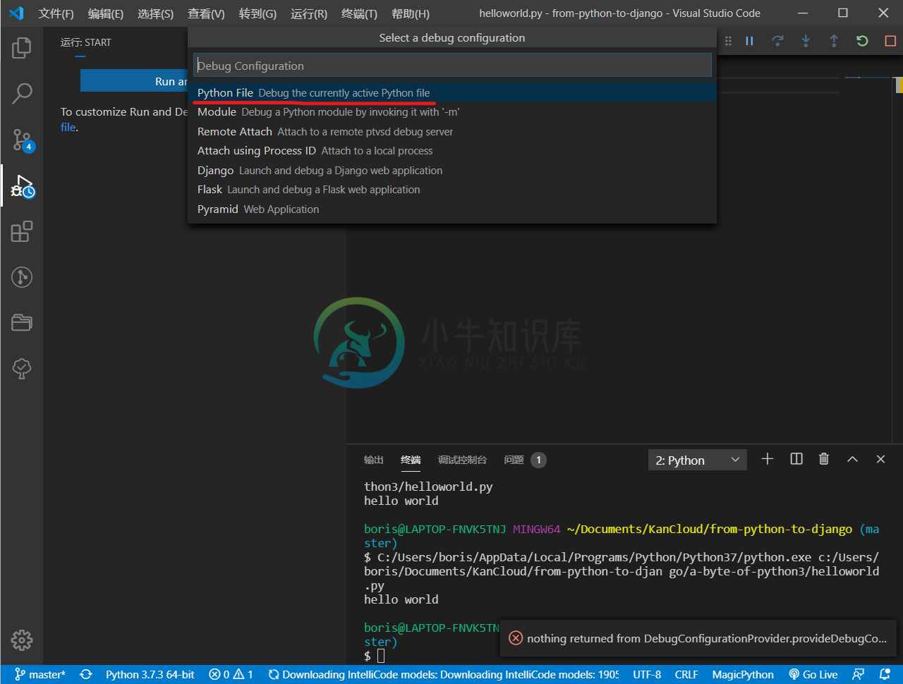 VSCode选择执行环境