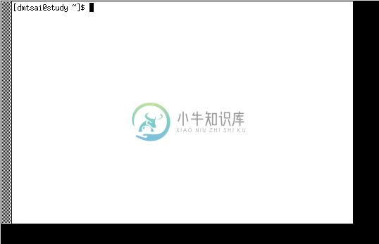 在 X 上面启动 xterm 终端机显示的结果