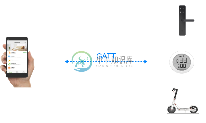 Xiaomi GATT Topology