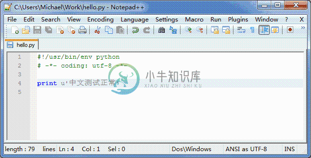 coding-in-notepad++