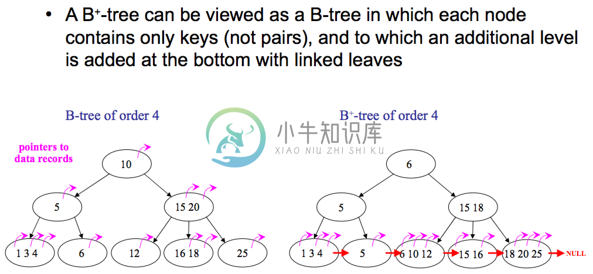 B 树（B-tree）、B+ 树（B+-tree）