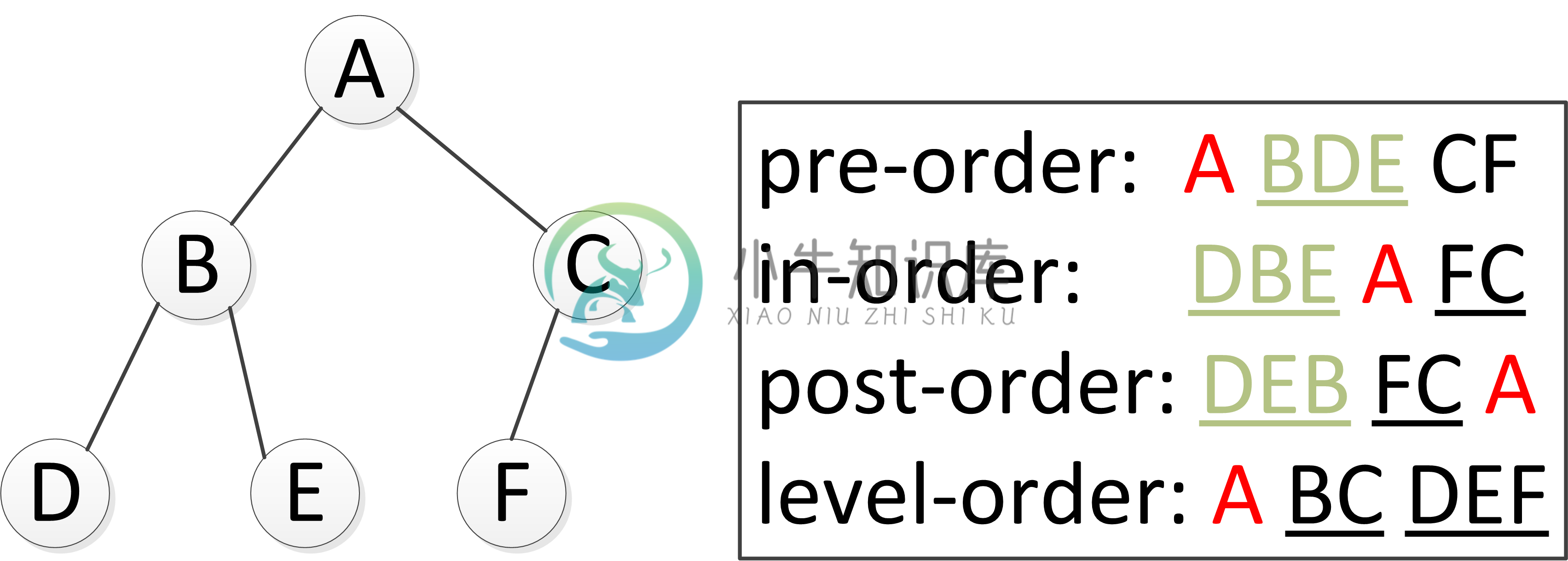 Binary Tree Traversal