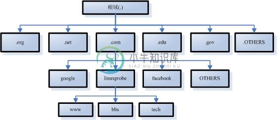 DNS结构模型