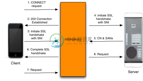 mitmproxy 显式HTTPS