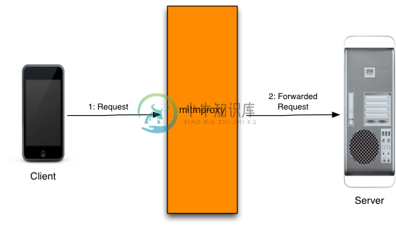 mitmproxy的工作原理