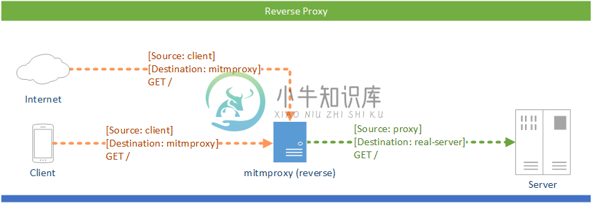 mitmproxy反向代理