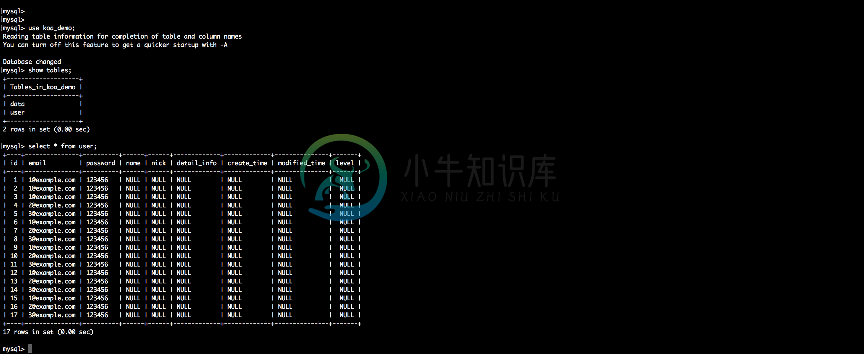 mysql-init-result-01