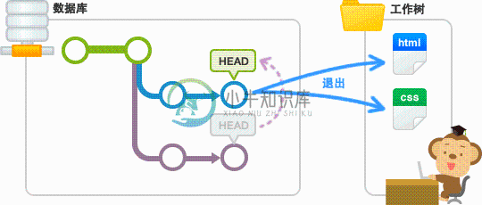 分支的切换