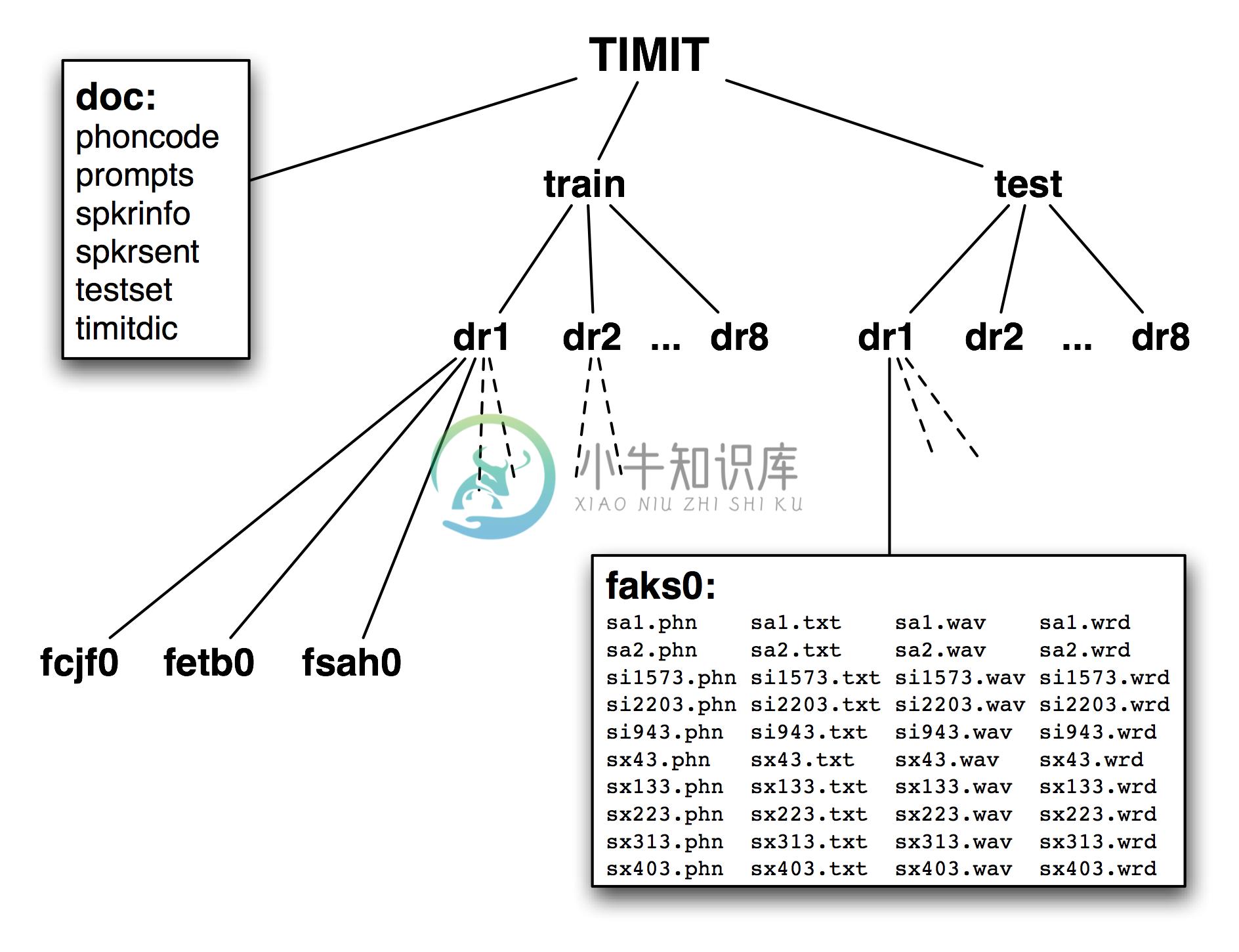 Images/timit-structure.png