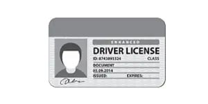 driver-license