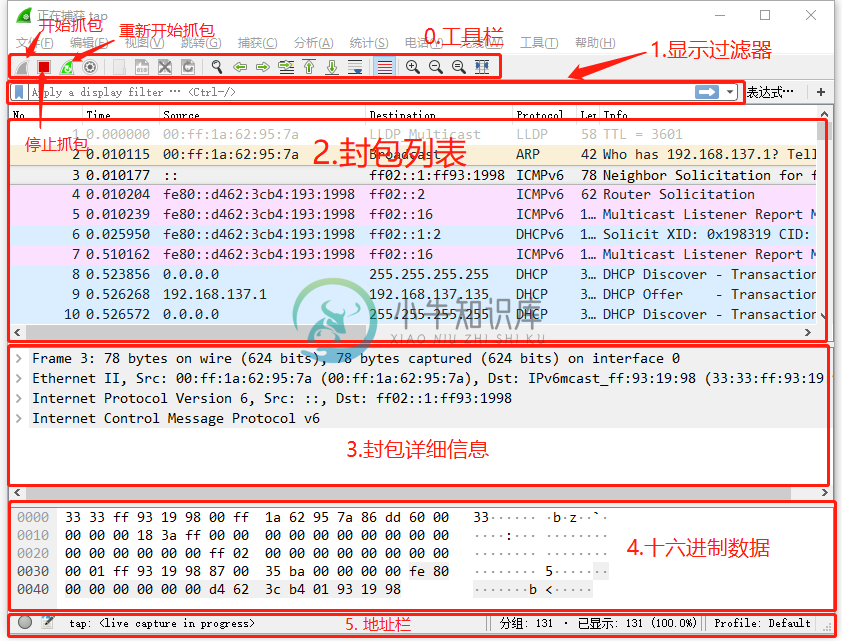 wireshark 主界面