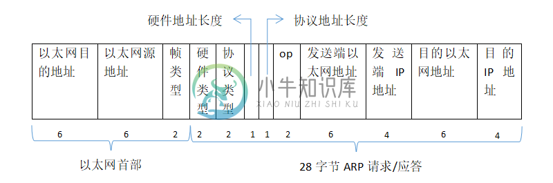 ARP 的分组格式