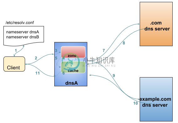 DNS 查询解析