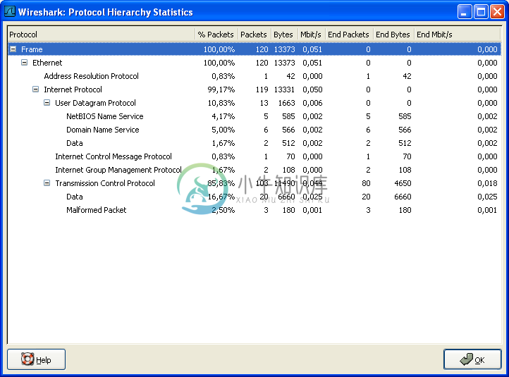 "Protocol Hierarchy" 窗口