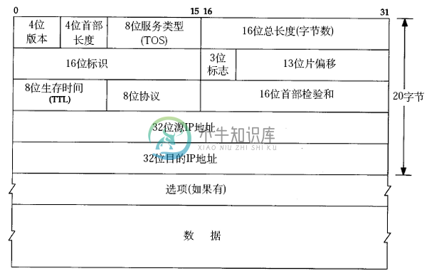 IP数据报格式