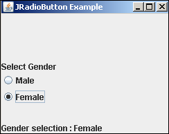 一个JRadioButton