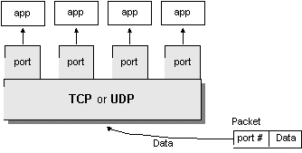 网络基础 - 图3