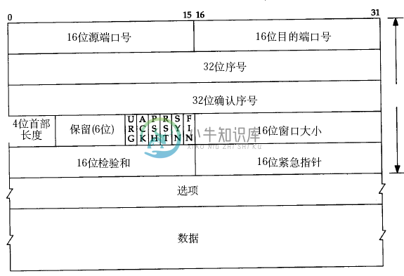 TCP段格式